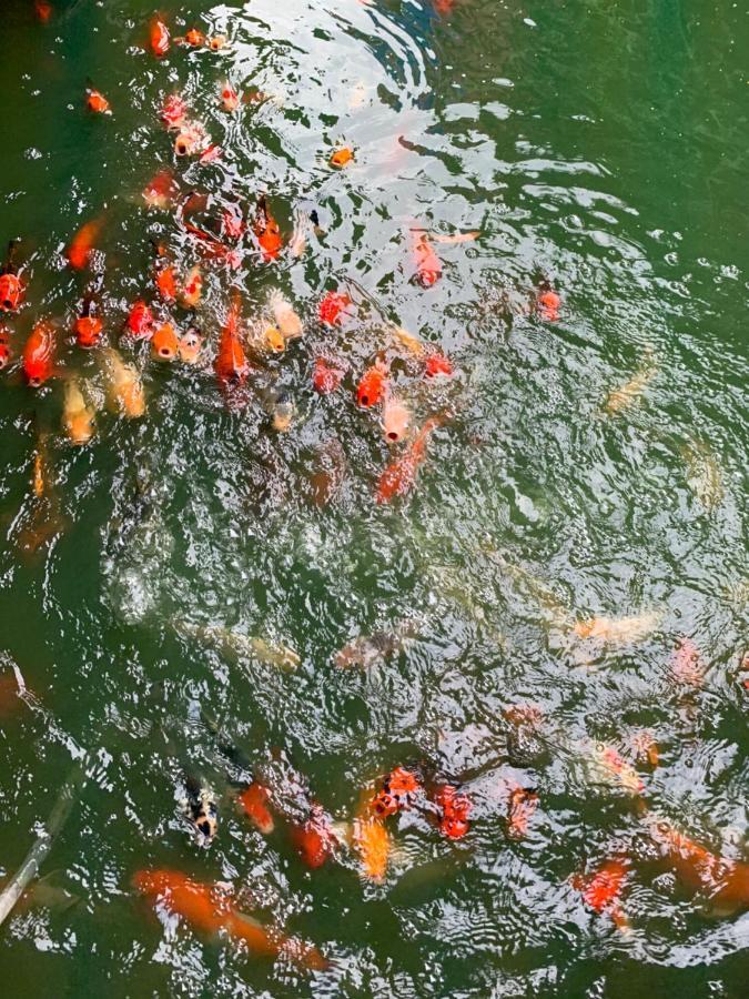 Amazon Resort Surat Thani Esterno foto